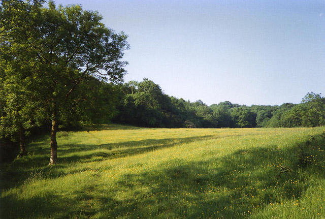 File:Cleeve, field path to King's Wood - geograph.org.uk - 92473.jpg