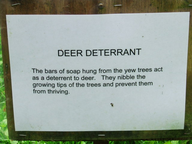 File:Deer Deterrant - geograph.org.uk - 546182.jpg