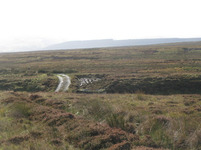 File:Dykerow Fell around the cleugh of Redscar Burn (2) - geograph.org.uk - 2127087.jpg