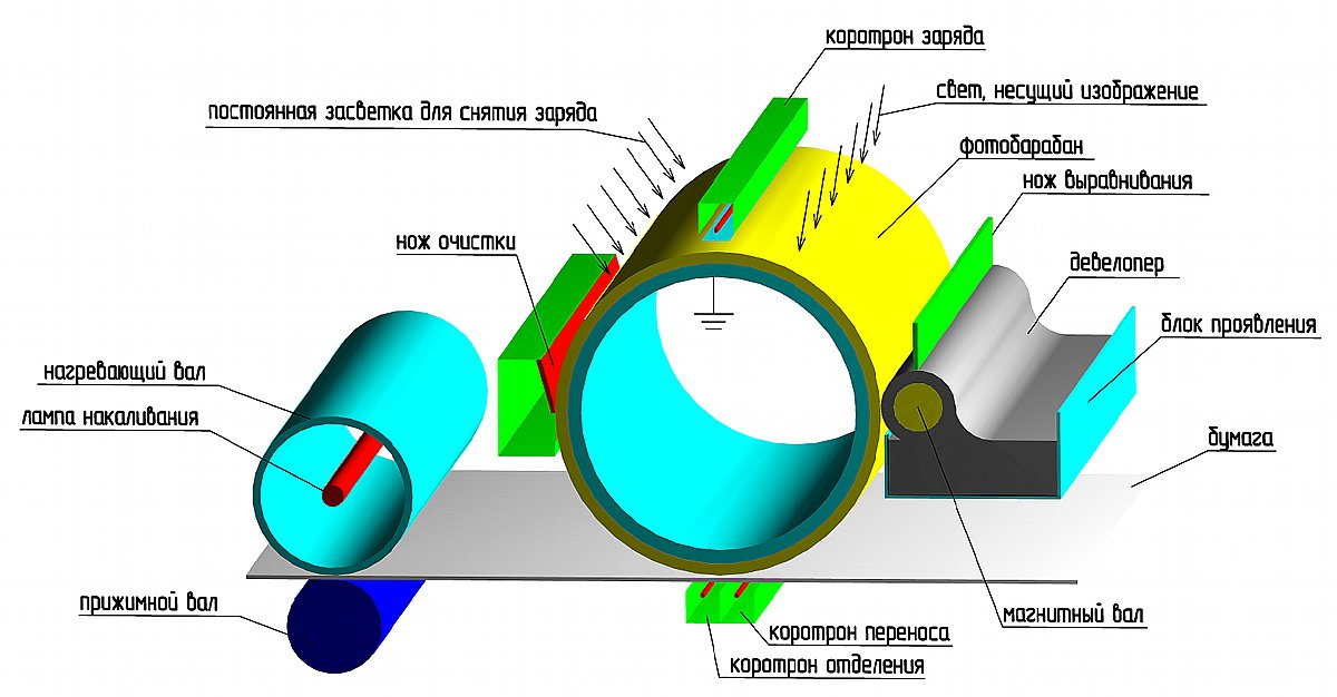Принтерах используется электрографический принцип создания изображения