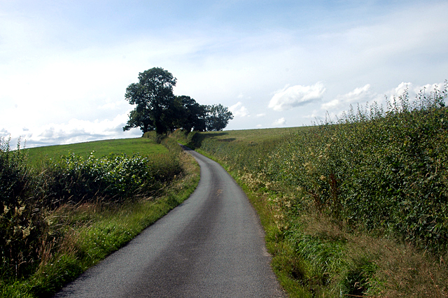 File:Lane near the border - geograph.org.uk - 1439505.jpg