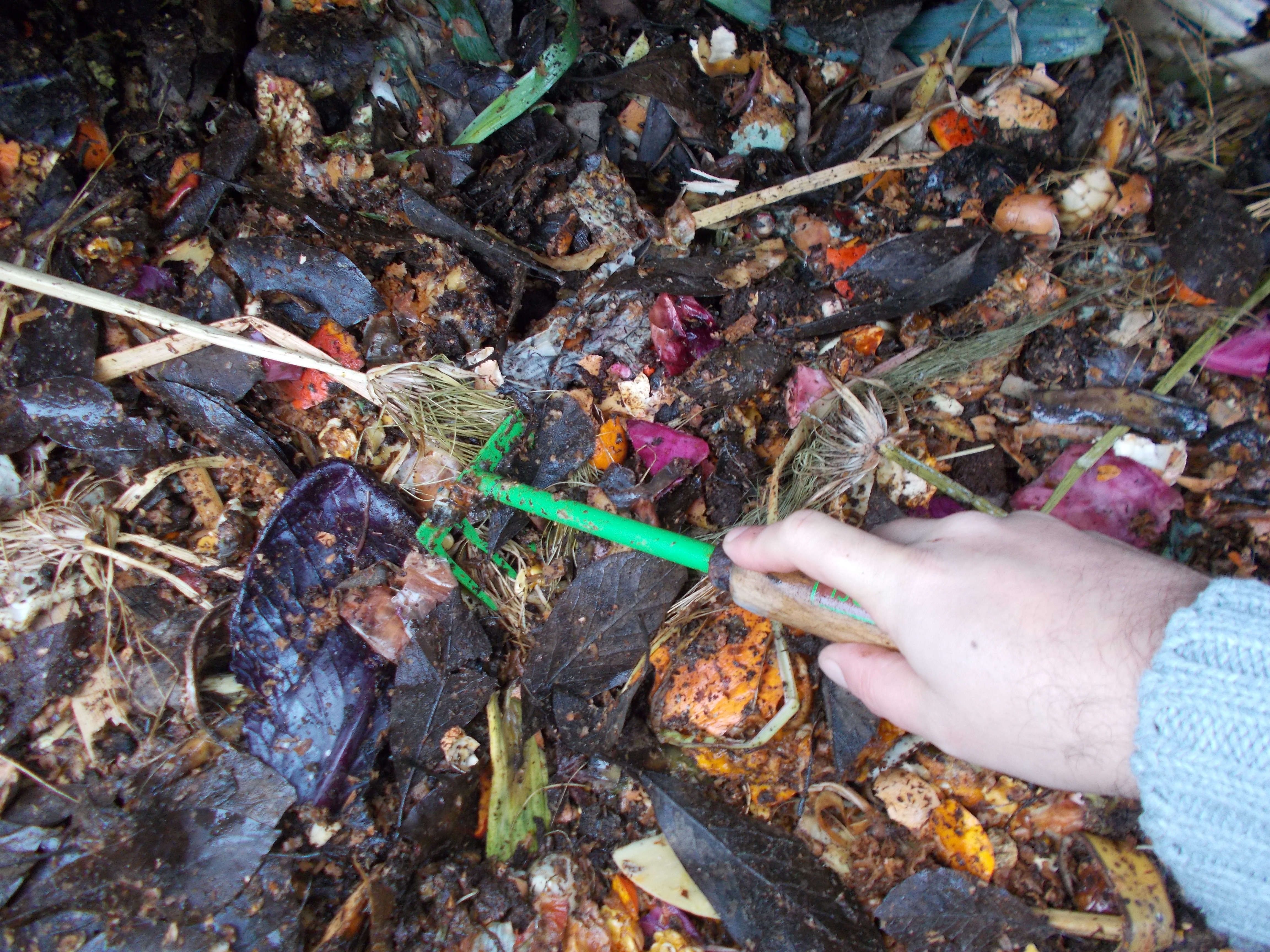 Quelle est la différence entre le terreau et le compost ?