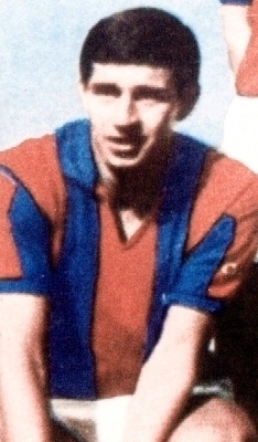 <span class="mw-page-title-main">Mario Chaldú</span> Argentine footballer (1942–2020)