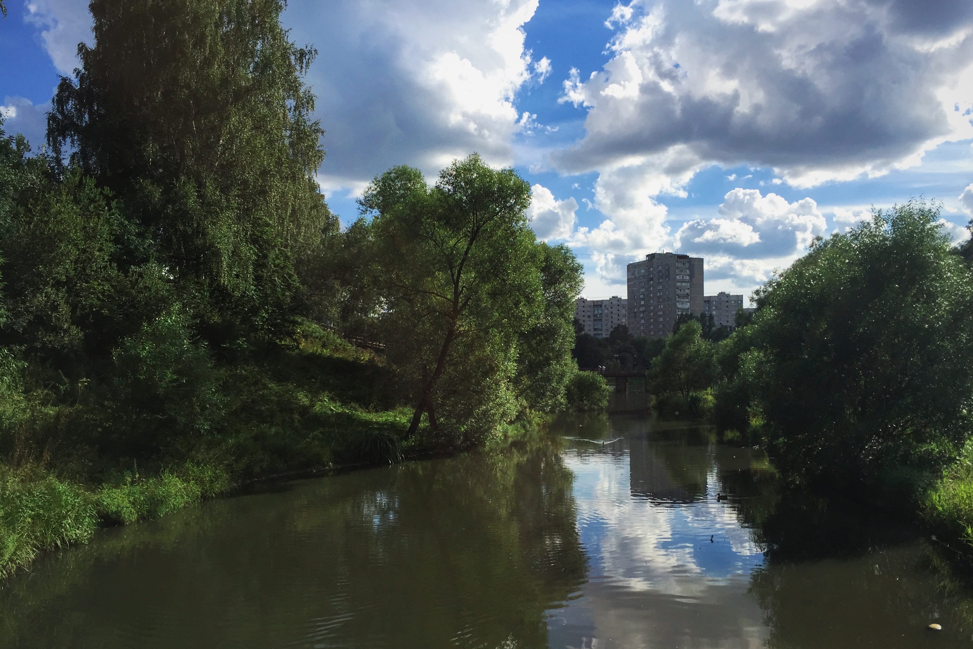 Погода москва бибирево