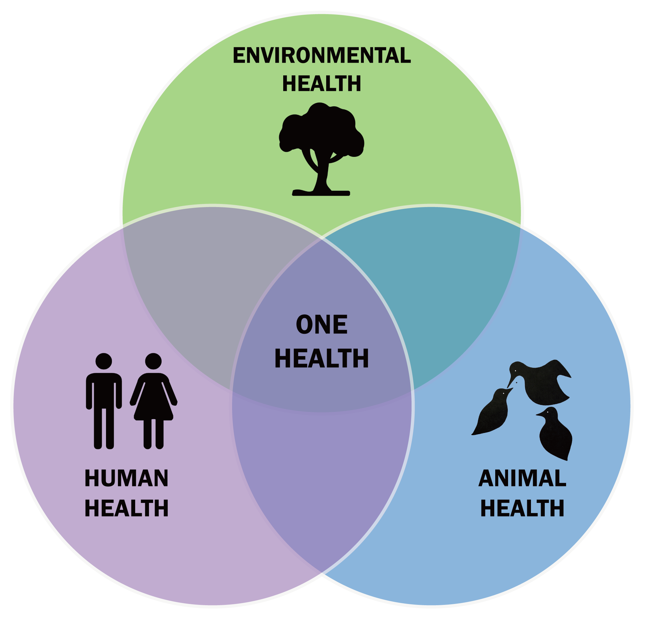 What is One Health? - Center for One Health Research