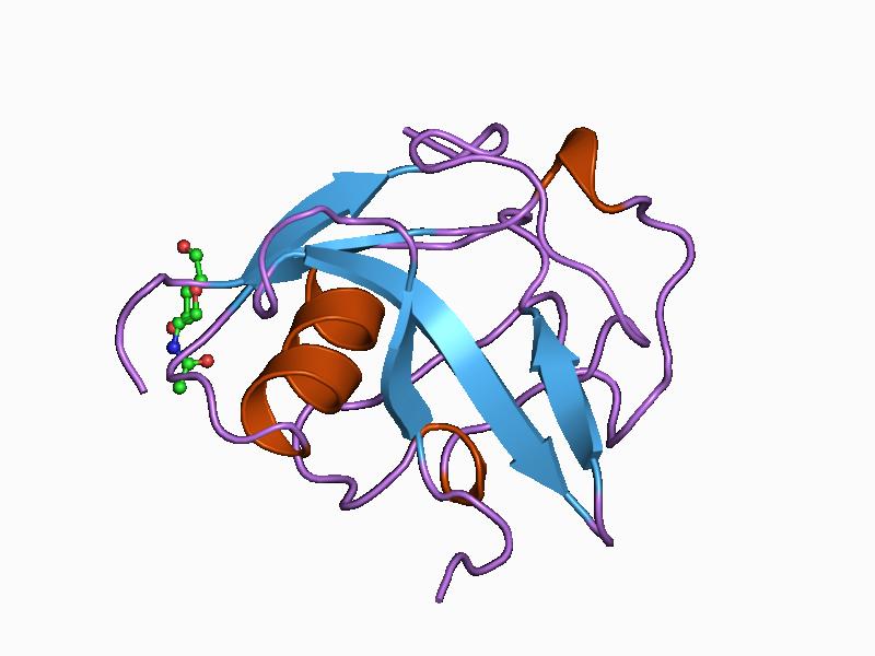 File:PDB 1by2 EBI.jpg