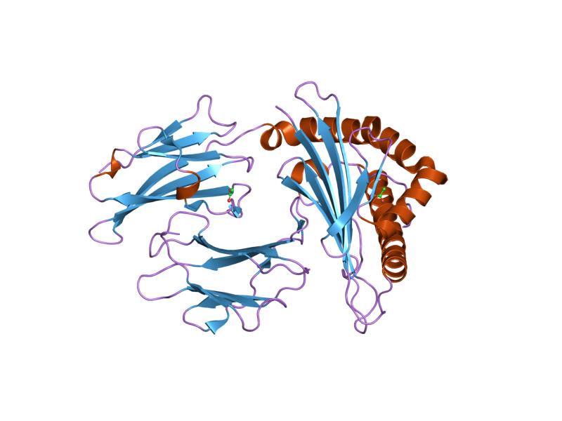 File:PDB 1n2r EBI.jpg