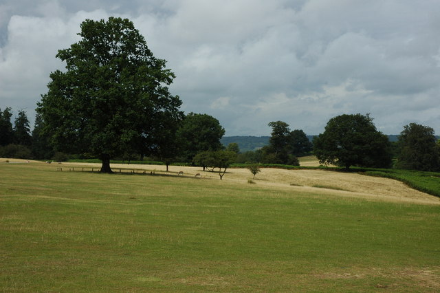 File:Parkland at Knole - geograph.org.uk - 1411324.jpg