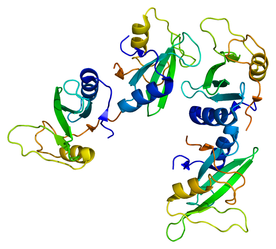 Структура белка закодирована в молекуле днк. G2d1a ген. Ген hspa1a. Cd84 ген. Sh2 домен.