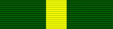 File:Ribbon - Efficiency Decoration (South Africa).png