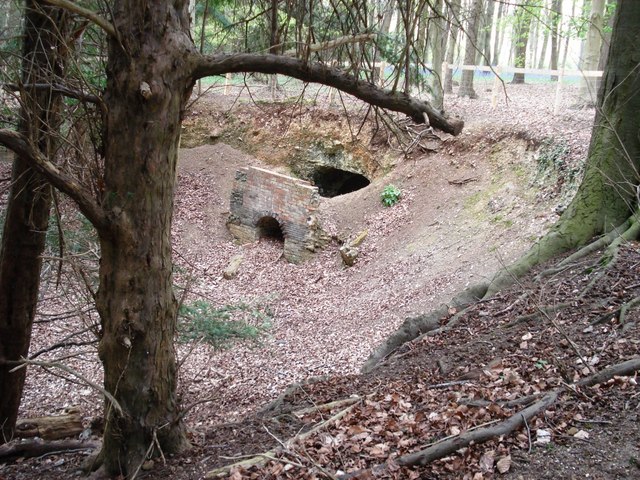 File:Ruined ice store on the Hardwick Estate - geograph.org.uk - 1141990.jpg