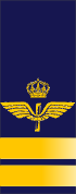 File:SWE-Airforce-kapten.png