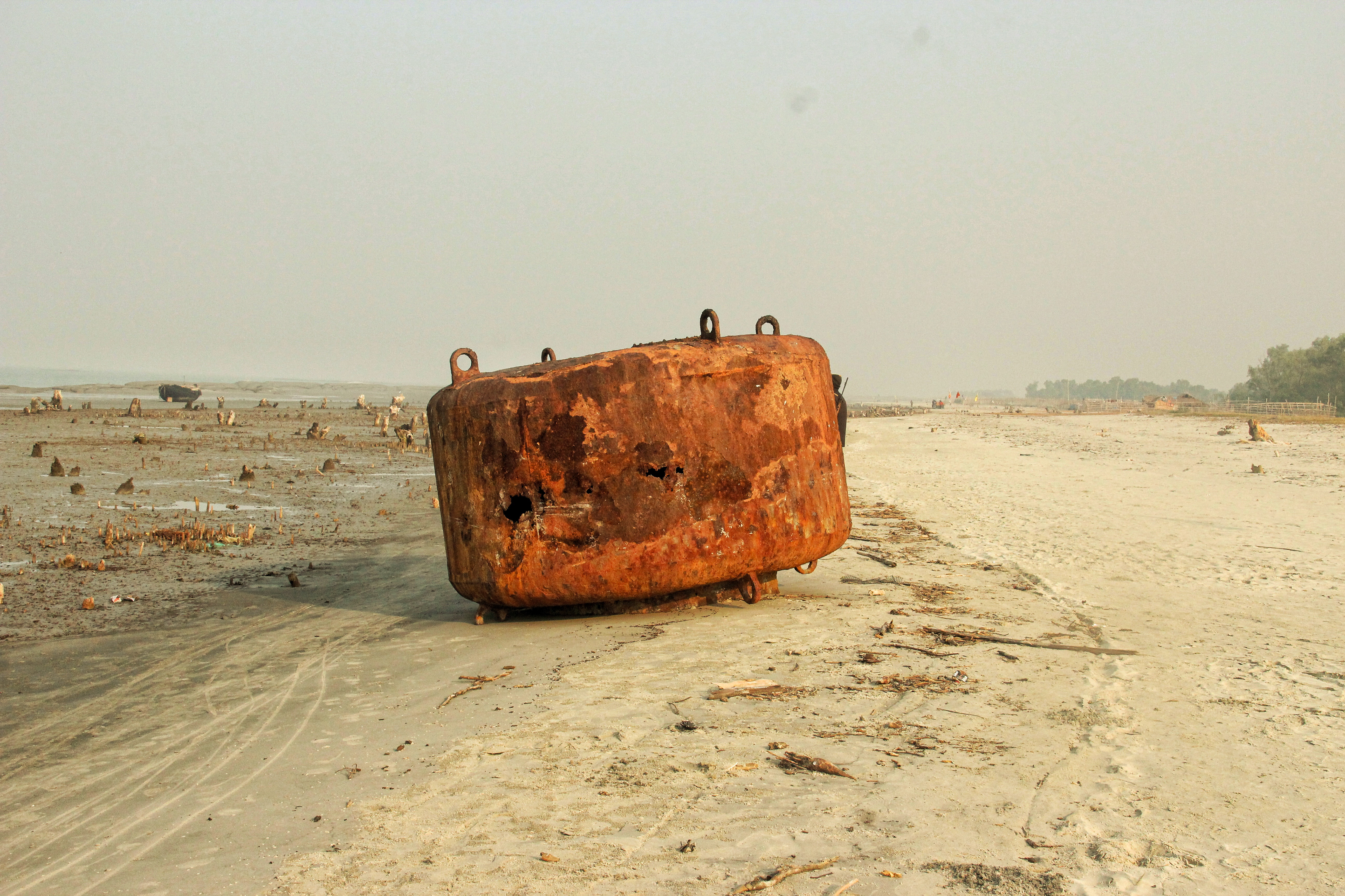 Operation sundarbans