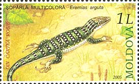 File:Stamp of Moldova md525.jpg