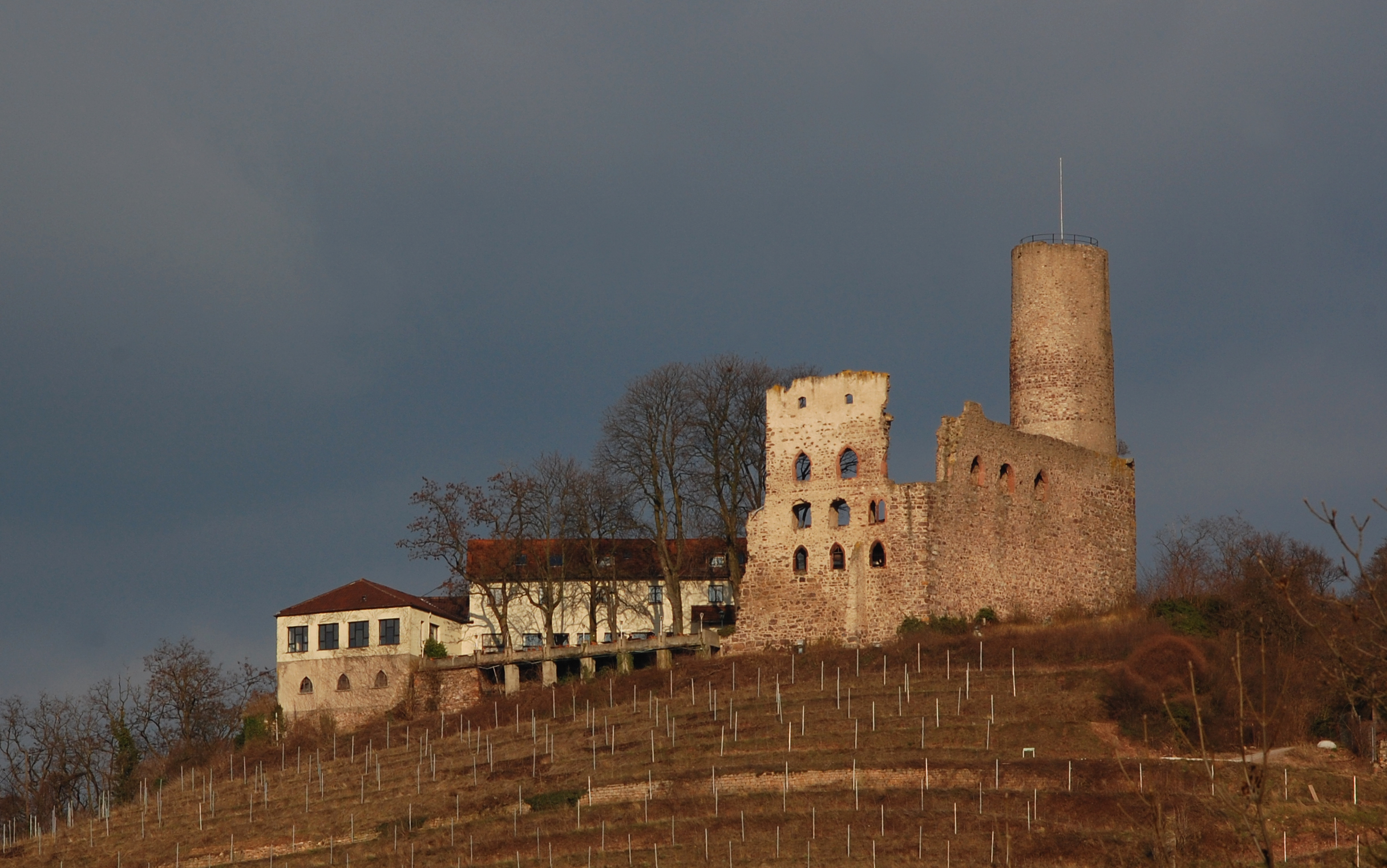 The ruin of the Strahlenburg, Schriesheim, Germany