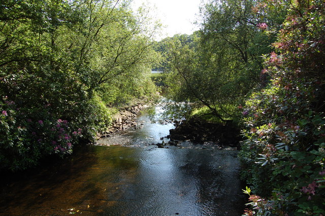 File:The Goit, Anglezarke - geograph.org.uk - 303613.jpg