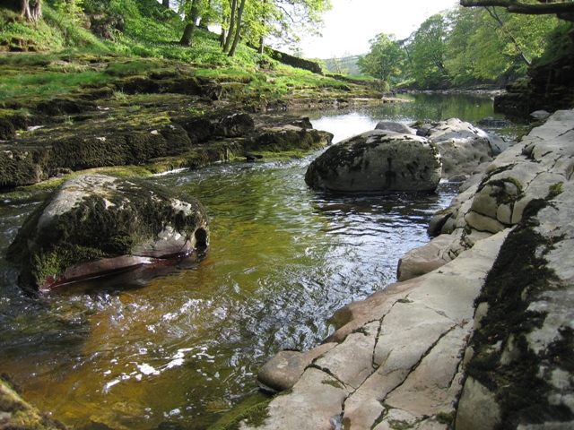 The River Ribble below Stainforth Force - geograph.org.uk - 435709