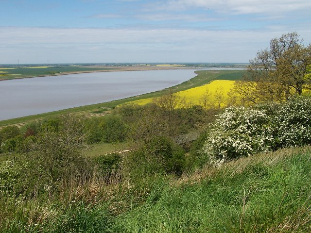 Trent Bank at Walcot - geograph.org.uk - 10297