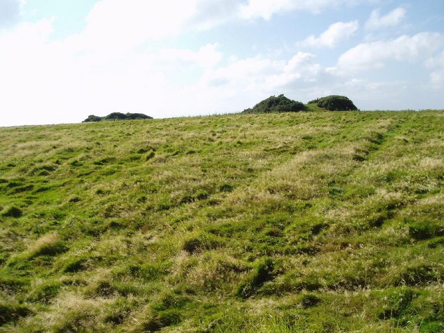 Tumuli or ancient burial mounds on Week Down - geograph.org.uk - 581314