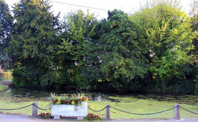 File:West Hagbourne Village Pond - geograph.org.uk - 1288938.jpg