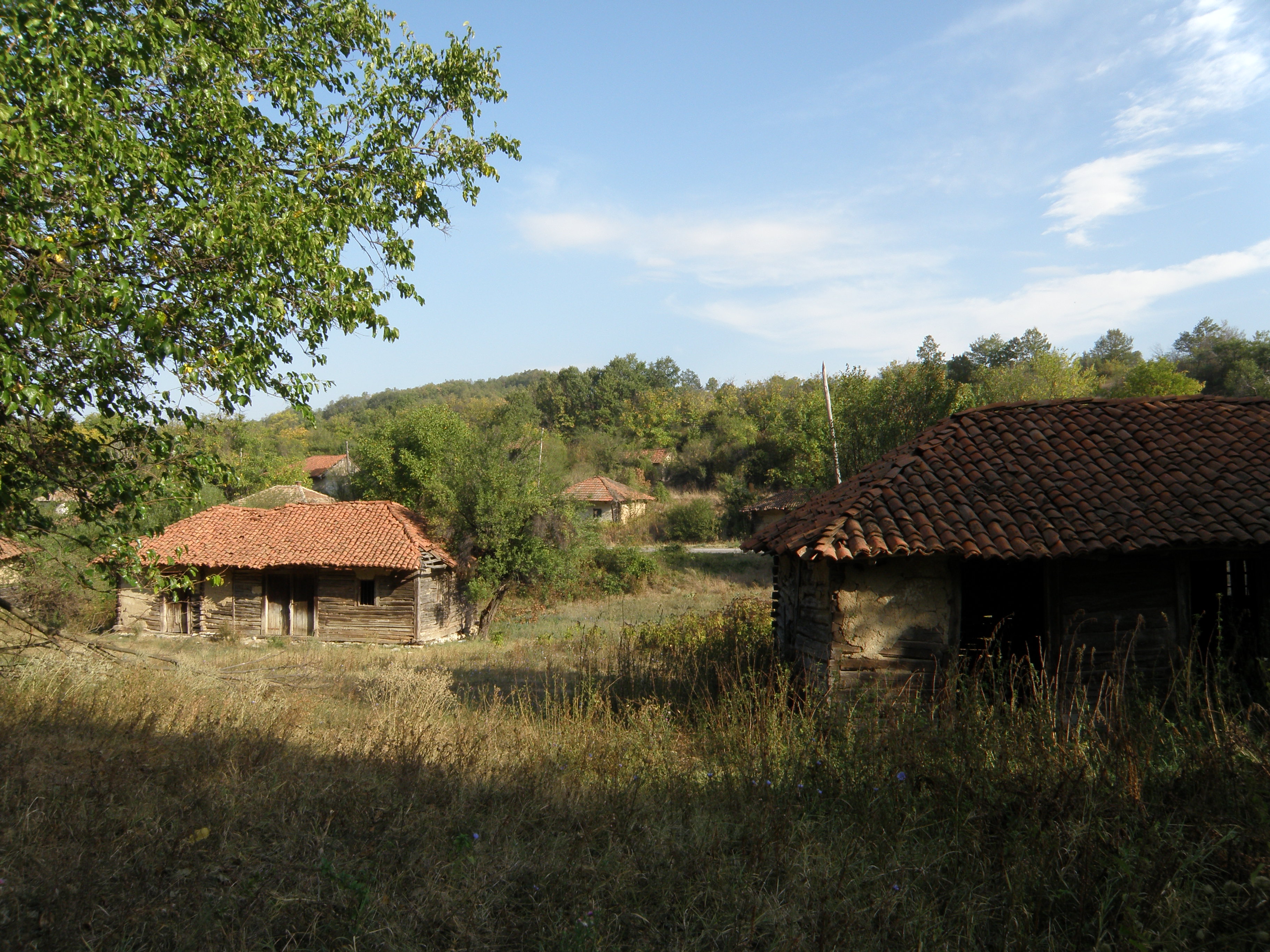 бачка паланка сербия