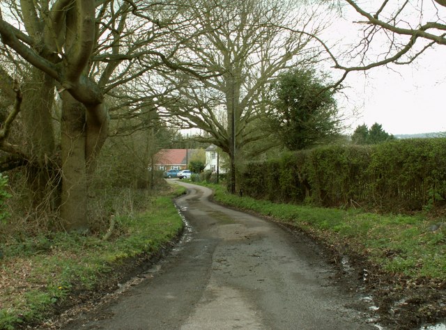 File:A dead-end country lane called Mill Hill - geograph.org.uk -  747256.jpg - Wikimedia Commons