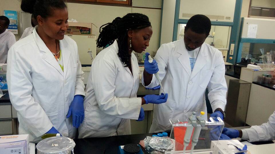 File:African students working in the lab.jpg - Wikimedia Commons