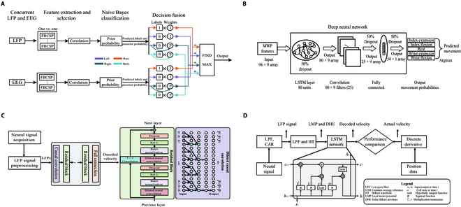 File:Architectures of neural decoding.jpg