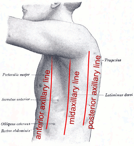 Clavicle lines parallel sloping down with lines