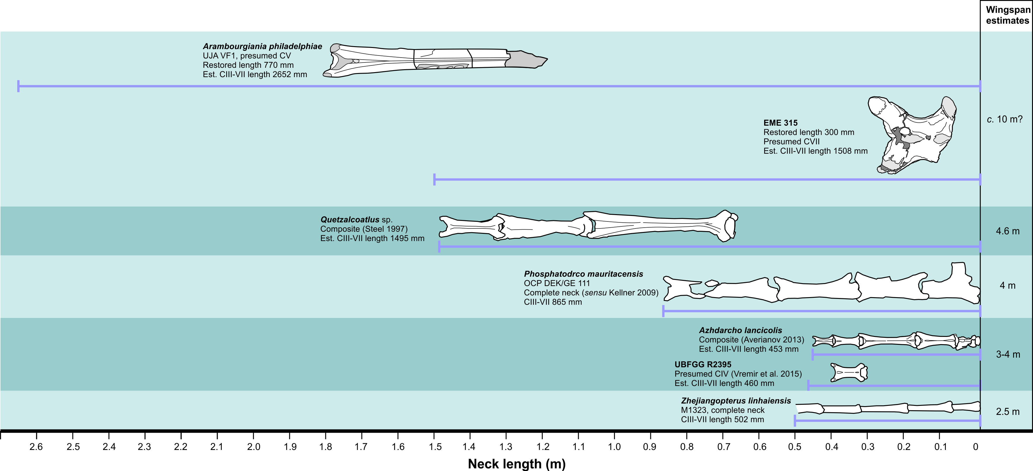 Caelidracones, Breviquartossa and Lophocratia are all node-based clades