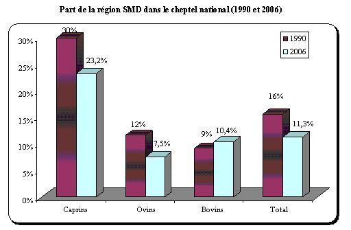 SMD Morocco livestock.jpg