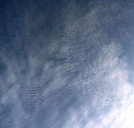 File:Cirrocumulus undulatus.jpg