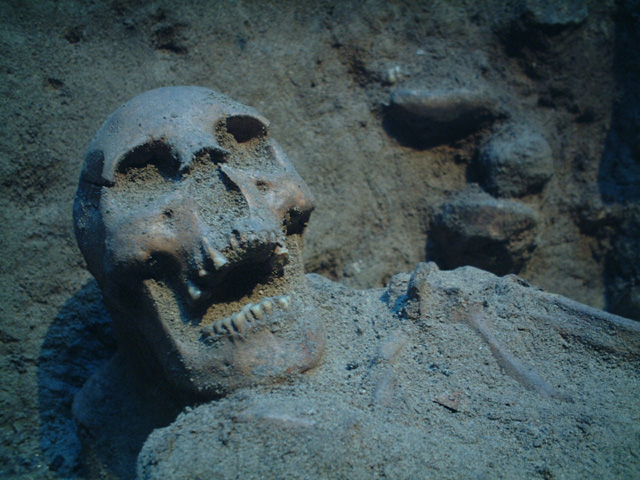 File:Close-up of the skull of Mana.jpg