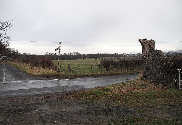 File:Dead tree, ailing signpost - geograph.org.uk - 629351.jpg