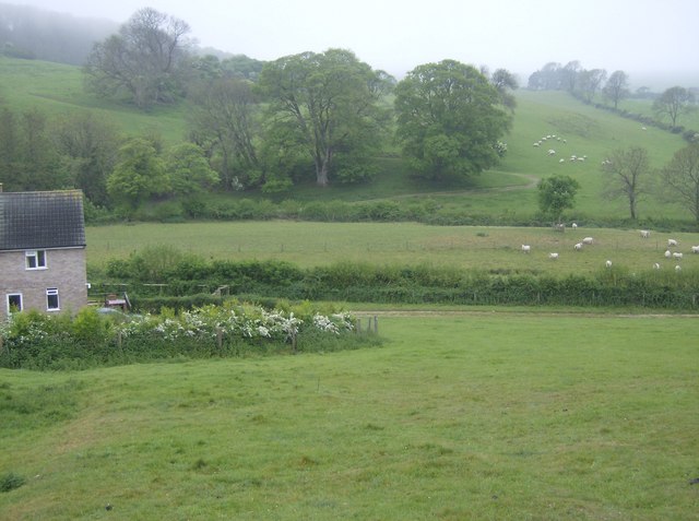 File:Descent to Gorwell Farm - geograph.org.uk - 437968.jpg