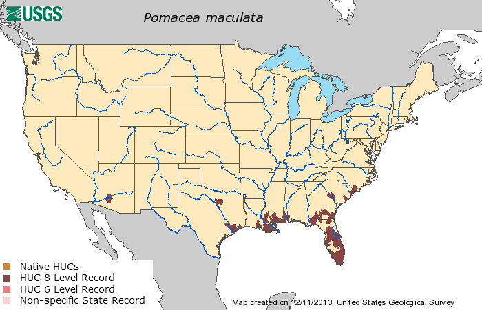 File:Distribution of Pomacea maculata in the United States.png