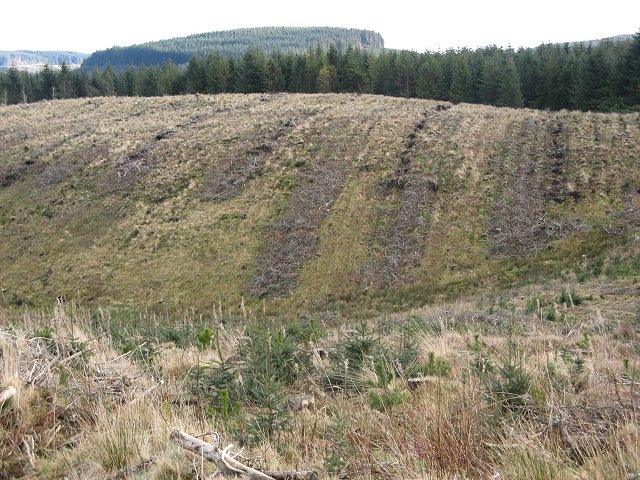 File:East side, Howdub Knowe - geograph.org.uk - 324284.jpg