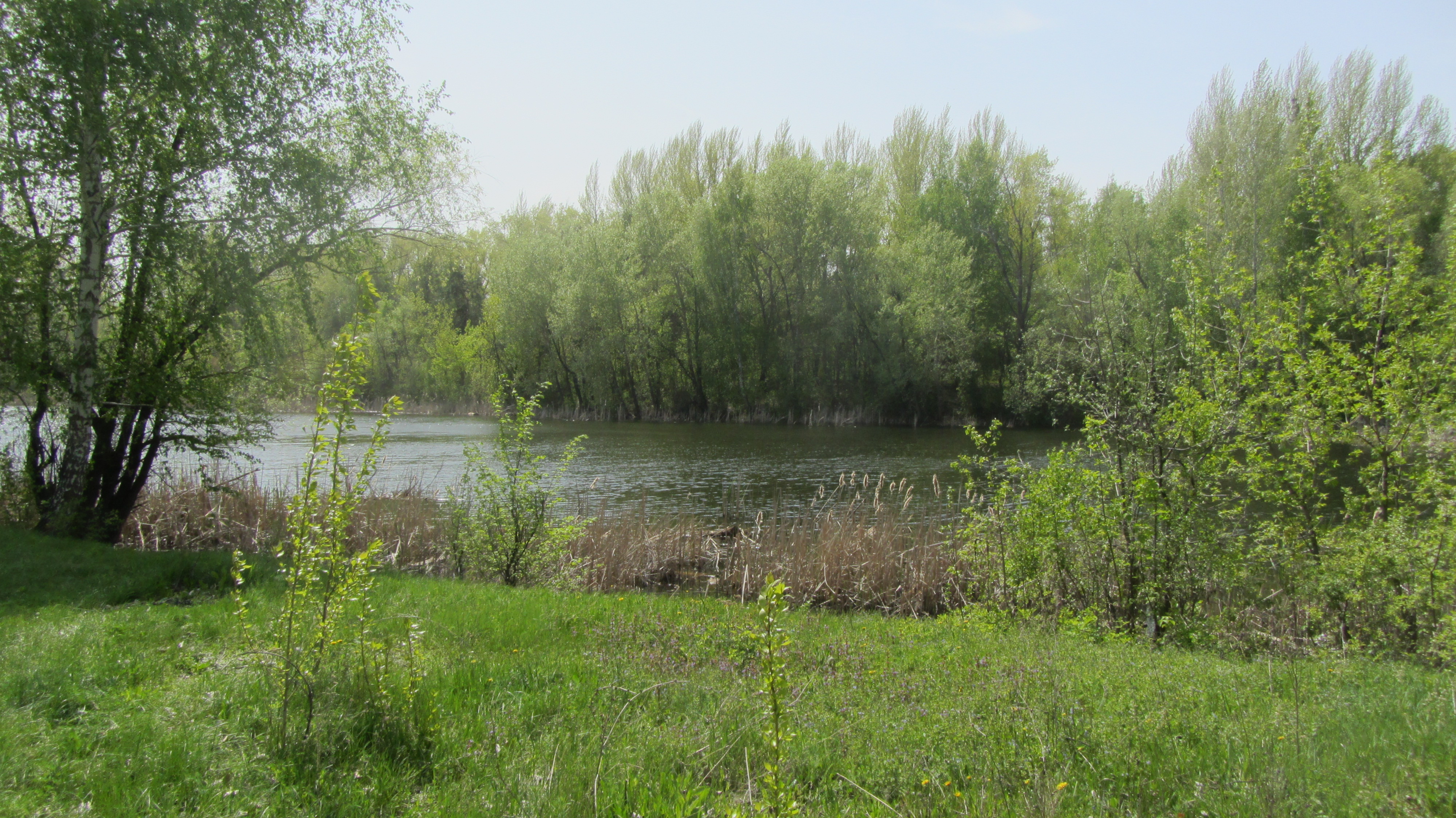 Отс саратовская область. Село Пичурино Саратовская область.