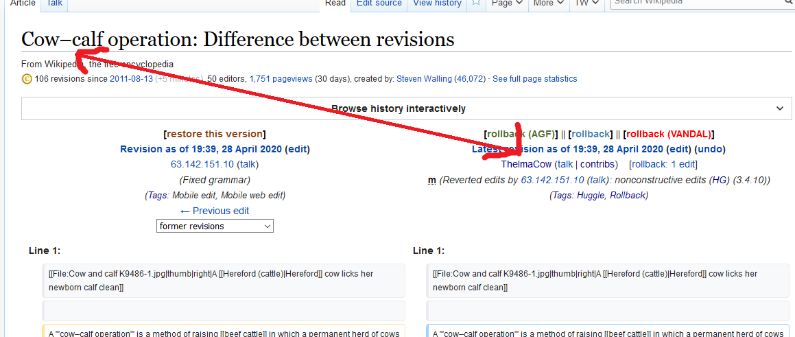 Wiki Funny