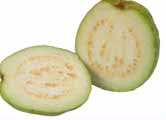 Guava CDC.jpg