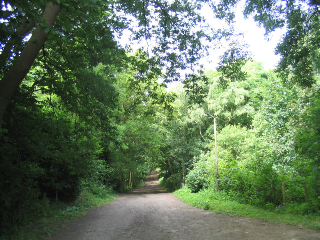 File:Havering Country Park, Collier Row, Essex - geograph.org.uk - 25945.jpg