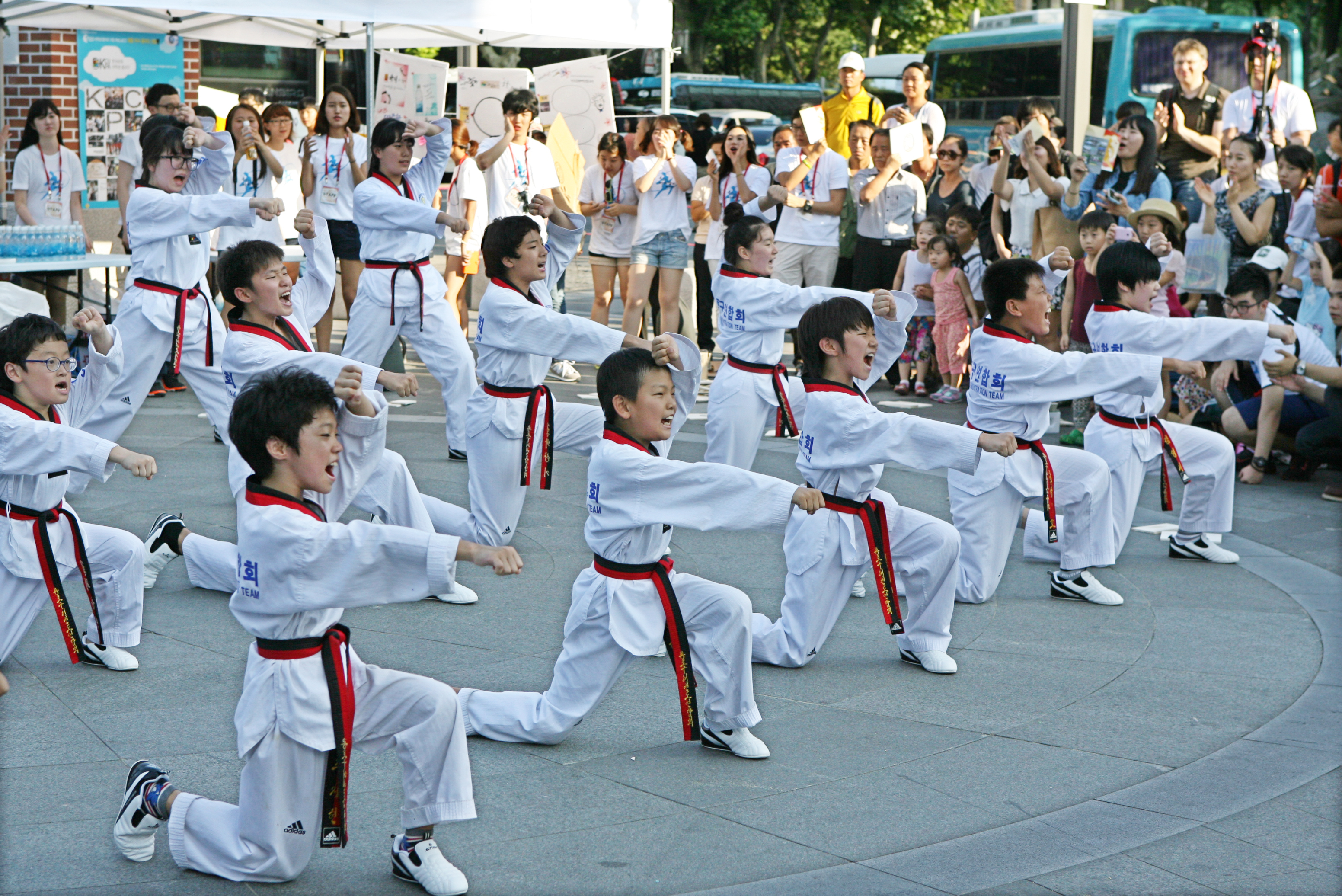 Южный спорт. Корея – Родина боевого искусства тхэквондо.. Taekwondo Корея. Спорт Южной Кореи тхэквондо. Тхэквондо тхыль.