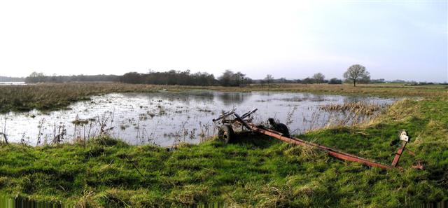 File:Lough Neagh at Annagh - geograph.org.uk - 300723.jpg