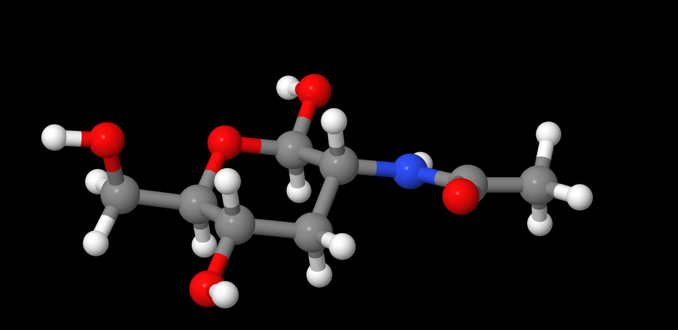 N-acetylglucosamine