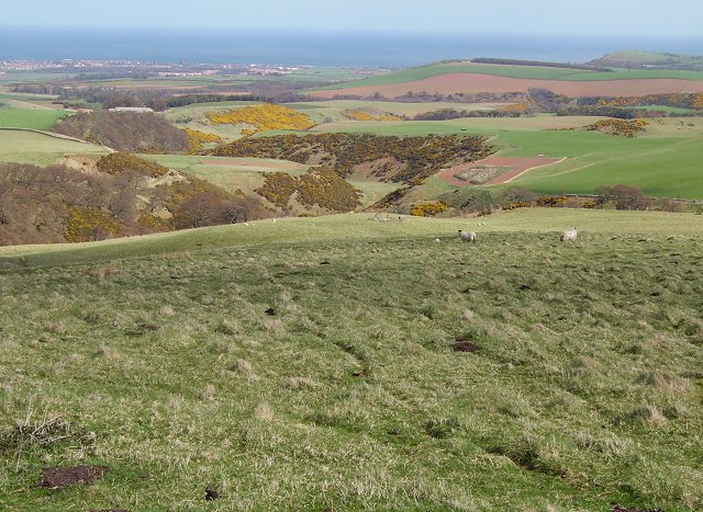 File:On Rammer Dod - geograph.org.uk - 163435.jpg