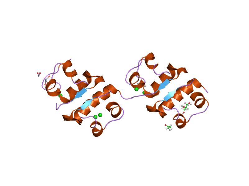 File:PDB 1g7a EBI.jpg