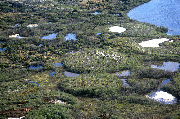 File:Palsaaerialview.jpg