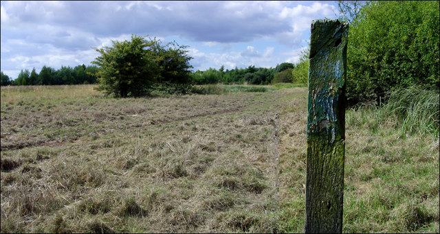 File:Post and tree - geograph.org.uk - 514192.jpg