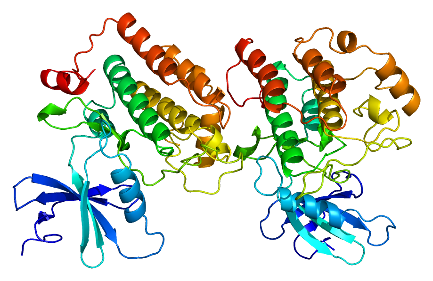 CSNK1D - Wikipedia