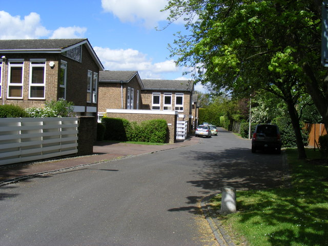 File:Recotes Mead Dulwich - geograph.org.uk - 1270899.jpg